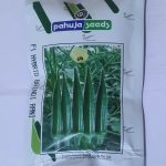 F1 Hybrid Bhindi Rani Seeds