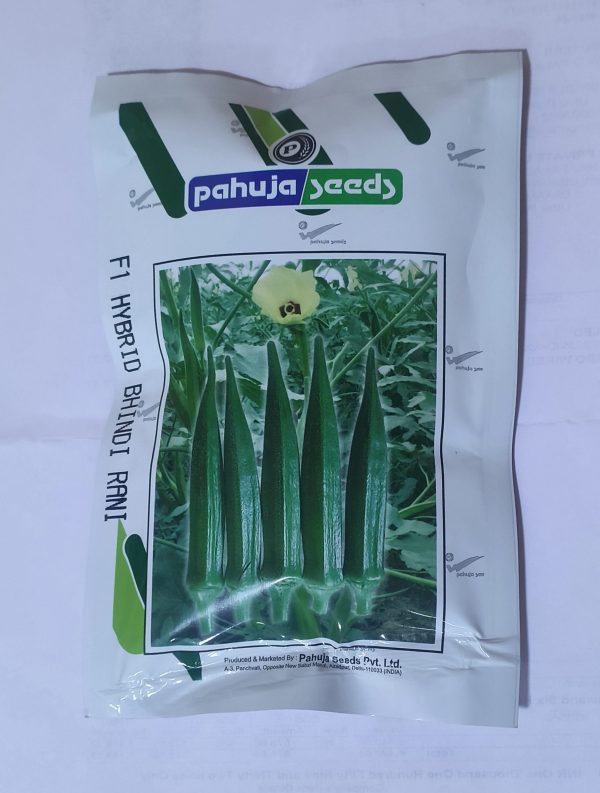 F1 Hybrid Bhindi Rani Seeds