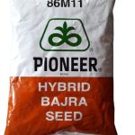 Pioneer Hybrid Bajra Seeds