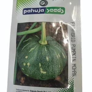 F1 Hybrid Pumpkin Mohan