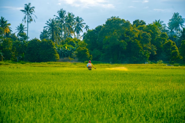 Pesticide