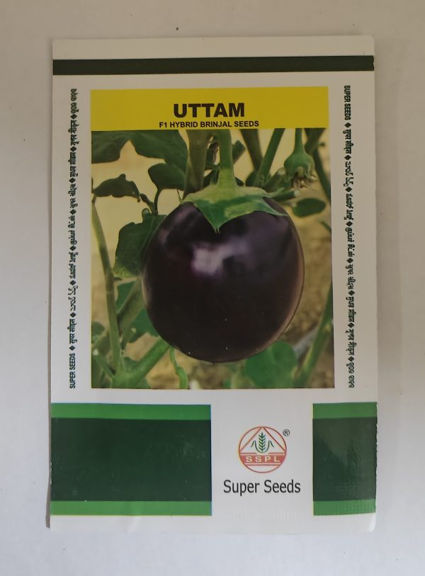 F1 Hybrid Brinjal Seeds