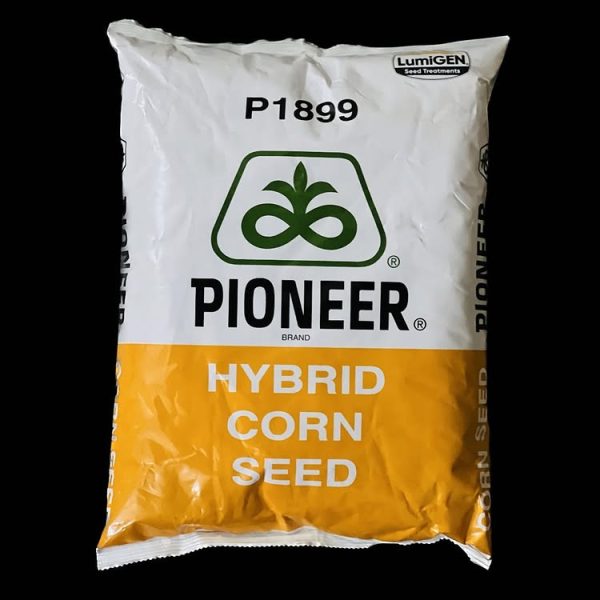 Pioneer 1899 Hybrid Corn Seed