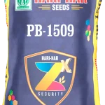 Hari-Har PB-1509 Paddy Seeds