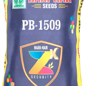 Hari-Har PB-1509 Paddy Seeds