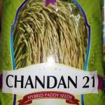 Krishidhan Chandan 21 Paddy Seeds