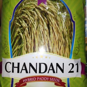 Krishidhan Chandan 21 Paddy Seeds