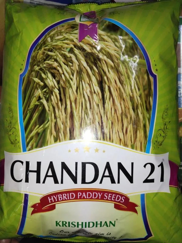 Krishidhan Chandan 21 Paddy Seeds
