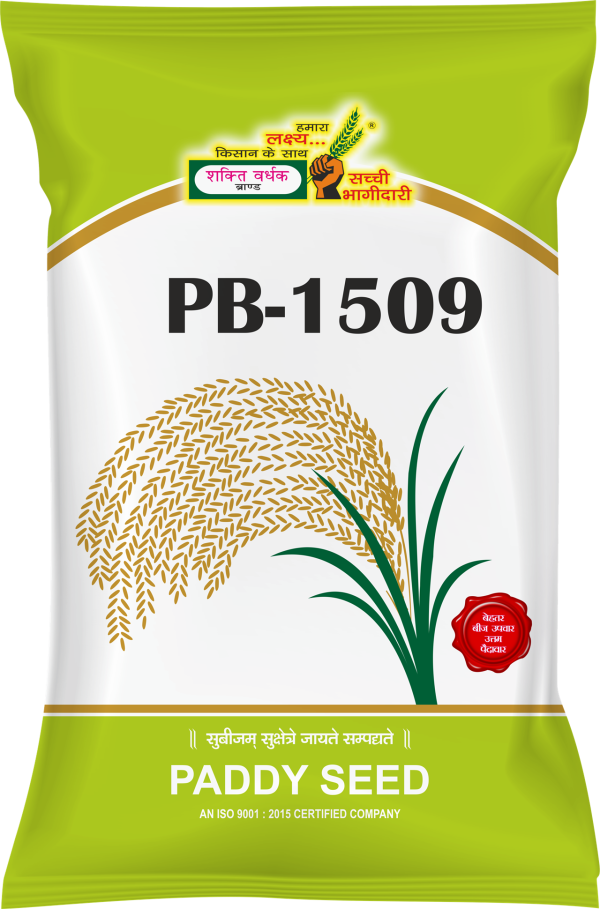 Shakti Vardhak PB-1509 Paddy Seeds