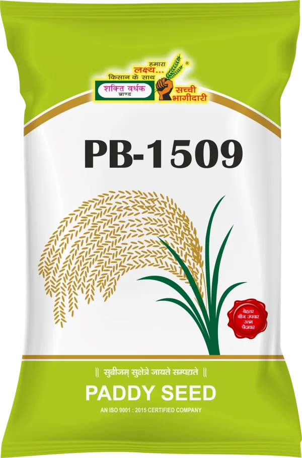 Shakti Vardhak PB-1509 Paddy Seeds