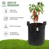 Geo Fabric Grow Bag
