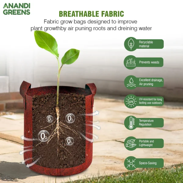 Geo Fabric Grow Bag