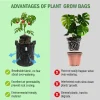 Grow Bag Advantages