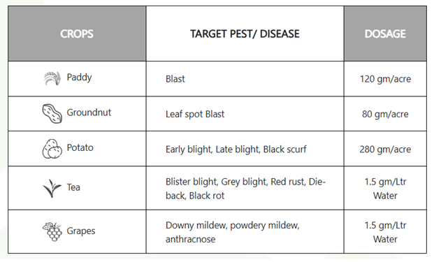 Manconova Fungicide Usage