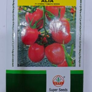 F1 Hybrid Tomato Seeds