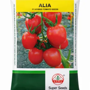 F1 Hybrid Tomato Seeds