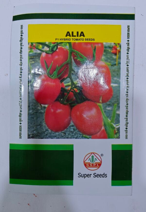 F1 Hybrid Tomato Seeds