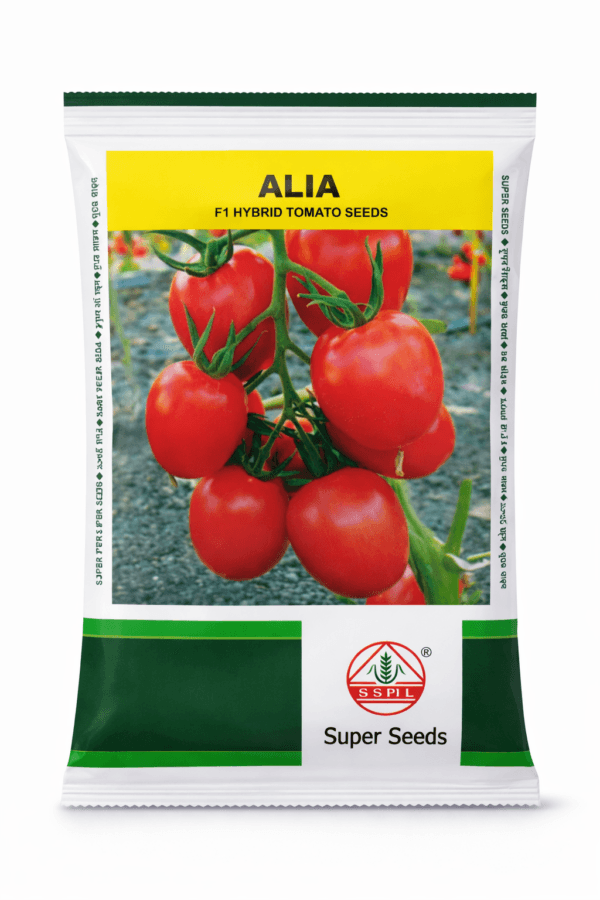 F1 Hybrid Tomato Seeds