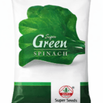 Super Green Spinach Seeds