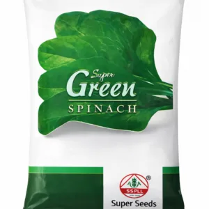 Super Green Spinach Seeds