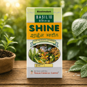 Shine Basil 10