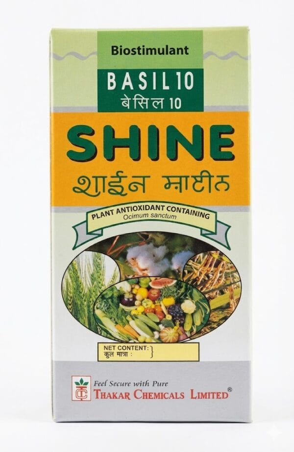 Shine Basil 10 Antioxidant