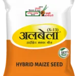 Albela Hybrid Maize Seeds
