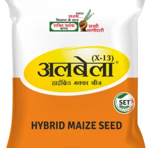 Albela Hybrid Maize Seeds