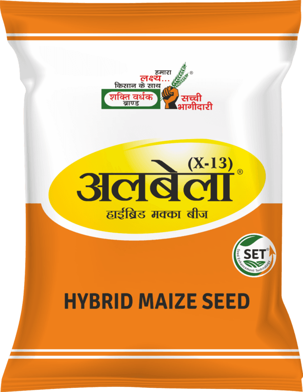 Albela Hybrid Maize Seeds