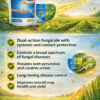 SAAF Fungicide Benefits