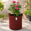 Geo Fabric Plant Grow Bag