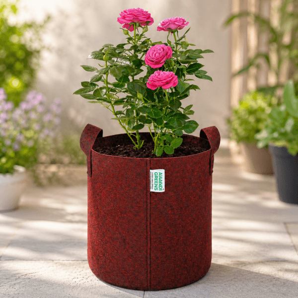 Geo Fabric Plant Grow Bag