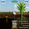 Katyayani Humic & Fulvic Acid 98