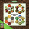 Katyayani Humic & Fulvic Acid 98