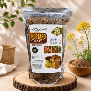 Mustard Cake
