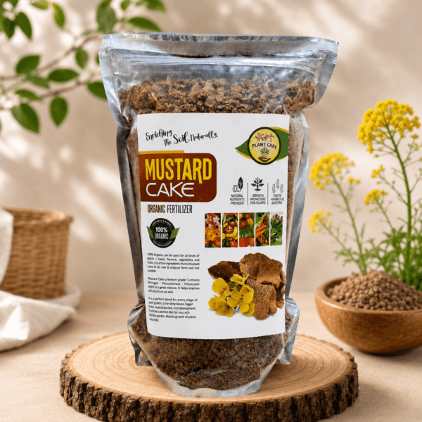 Mustard Cake