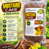 Mustard Cake Benefits