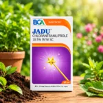 Jadu