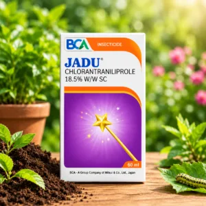 Jadu